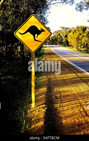 Kangaroo road sign, Western  Australia Stock Photo