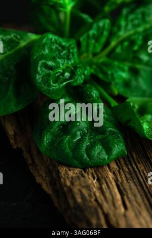 large leaf of spinach with water drops on a wooden background. Selective sharpening Stock Photo