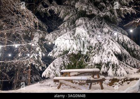 A snow-covered wooden picnic table and benches stand in a forest at night, illuminated by string lights hanging in the background Stock Photo