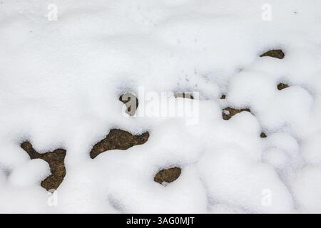 A very close-up view of the ground covered in a thin layer of fresh white snow, with patches of dark soil visible where the snow has melted Stock Photo