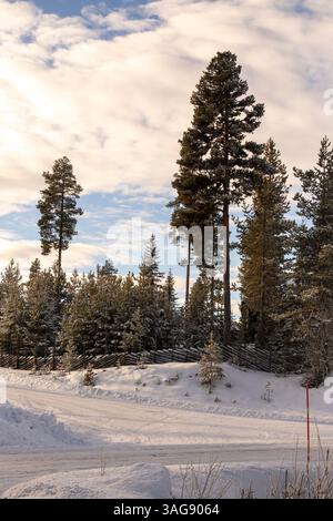 highway, house by the road, on the snowy side of a busy road a house and the trees surrounding it Stock Photo