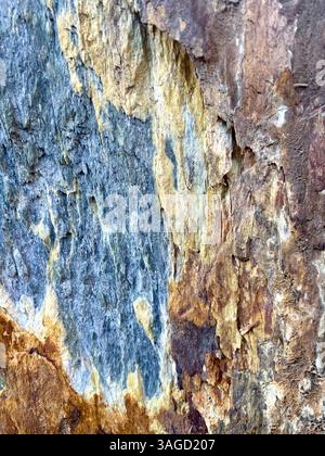 Textured Rock Surface with Color Variations Stock Photo