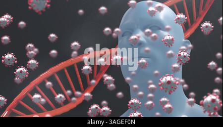 Image of DNA strand spinning with Covid 19 cells, human model on dark background Stock Photo