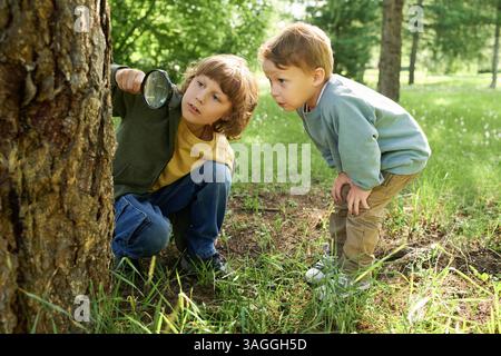 Two Brothers Using Magnifying Glass Adventuring in Nature Stock Photo ...