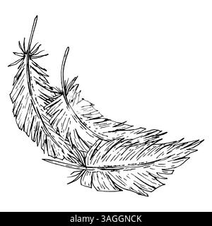 Hand-drawn vector illustration of two curved feathers in a graceful composition. Ideal for boho wedding designs, tribal decorations, branding, native Stock Vector