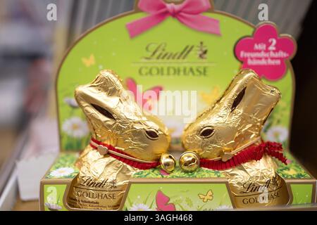 A charming gift box featuring two Lindt chocolate bunnies wrapped in golden foil, perfect for Easter gifting. - FRANKFURT, GERMANY - MARCH 21, 2025 Stock Photo
