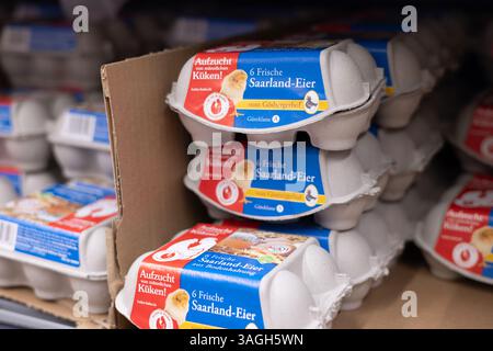 This image captures fresh eggs neatly placed in an eco-friendly carton highlighting sustainability and fresh produce options. - FRANKFURT, GERMANY - M Stock Photo