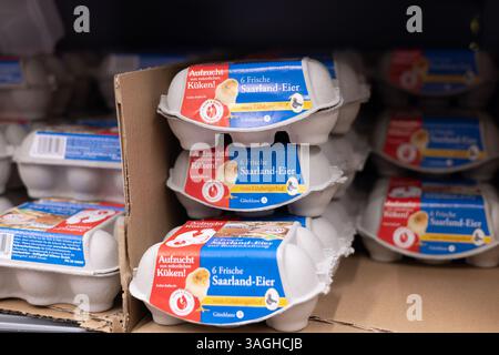 This image captures fresh eggs neatly placed in an eco-friendly carton highlighting sustainability and fresh produce options. - FRANKFURT, GERMANY - M Stock Photo