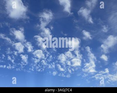 Cirrocumulus cluster clouds in front of a blue sky, international Stock Photo