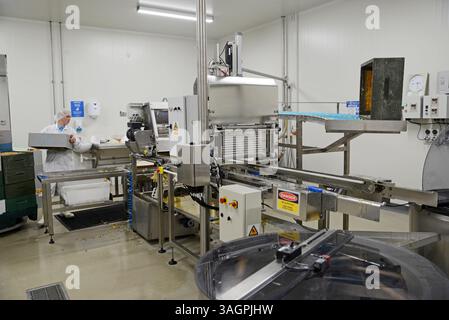 GREYMOUTH, NEW ZEALAND, DECEMBER 28, 2016: A worker operates the extraction unit at a honey processing factory Stock Photo