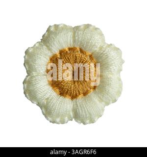 Daisy flower embroidery for clothes decoration on white background with clipping path Stock Photo