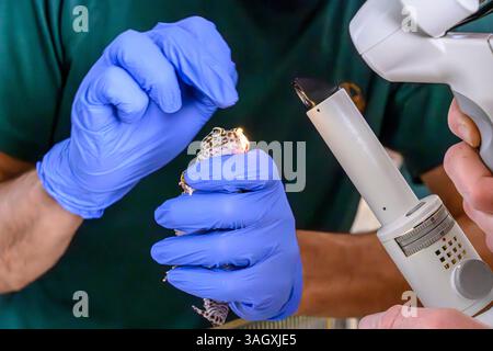 Veterinary doctors are treating the eye of a leopard gecko or common leopard gecko (Eublepharis macularius) photographed at the Israeli Wildlife Hospi Stock Photo