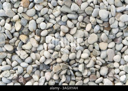 The image shows a collection of small, smooth pebbles in various shades of gray, beige, and white. Stock Photo