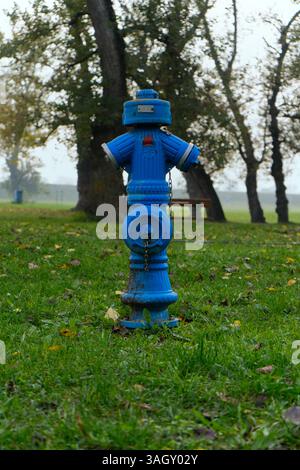 A blue fire hydrant stands prominently on a grassy park area. Stock Photo