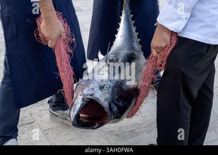 A large tuna just caught in Sicily, Italy Stock Photo