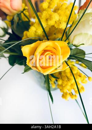 Beautiful bouquet with roses and mimosas isolated on white background.  Valentine's Day, birthday, mother's day, anniversary. Fresh flowers. Flat lay. Stock Photo