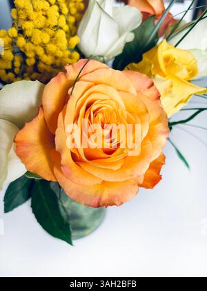 Beautiful bouquet with roses and mimosas isolated on white background.  Valentine's Day, birthday, mother's day, anniversary. Fresh flowers. Flat lay. Stock Photo