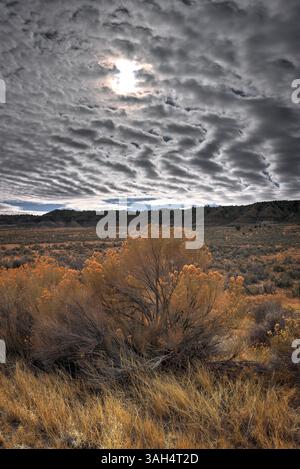 Dramatic cloudy sky over an autumn desert landscape with golden shrubs and rolling hills in the background. Stunning natural scenery with moody light. Stock Photo