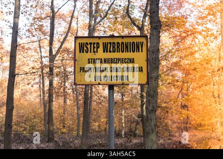 No Trespassing. A sign written in Polish, placed in the forest. Forbidden entry into the forest, Logging, Old forest Stock Photo