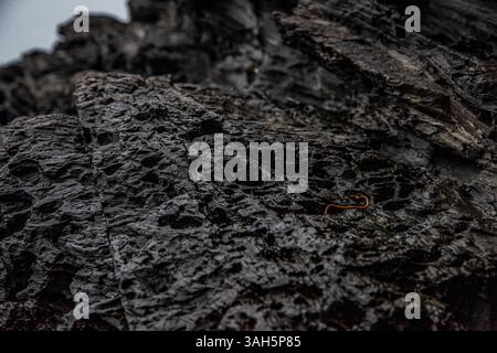 Close-Up of Dark Layered Rock Formation Stock Photo