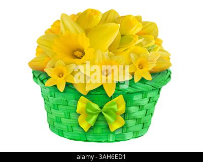 Yellow daffodils and green basket isolated on white background Stock Photo