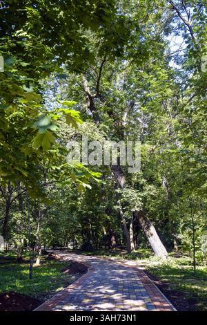 Сurved cozy park alley paved with multi-colored paving slabs on bright sunny summer day. Sunbeams leave traces on path. Close-up. Copy space for text. Stock Photo