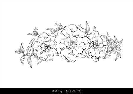 Monochrome marigold flowers with tradescantia leaves vector illustration painted by black inks. Blooming tagetes, flower head template for wreath Stock Vector