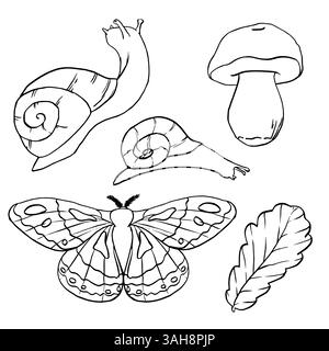 Vector Sketch of Mushroom, oak leaf, snails and butterfly. Forest Set hand painted by black inks in line art style. Moth, snail and mushrooms outline Stock Vector