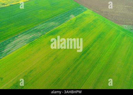 abstract farm landscape, green patterns from above. Aerial drone view. Agriculture concept background texture Stock Photo