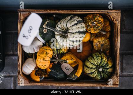 Top-down view of assorted ornamental gourds in a rustic wooden crate with handwritten price tags. Autumn produce, local farming, decorative vegetables Stock Photo