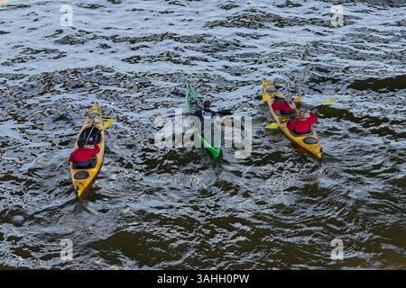 Three canoeists on the river Thames on a spring day in central London. The view from above afforded by being on Hungerford walk bridge. Stock Photo