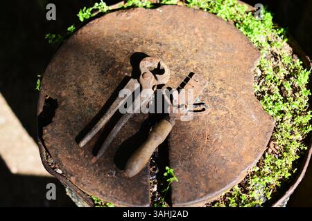 Old rusty vintage tools on old anvil in village. Antique tongs and handsaw sharpening tool put on rusty metal block in rural area in countryside Stock Photo