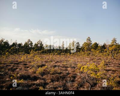 Store Mosse An expansive landscape within Store Mosse National Park in Sweden ...