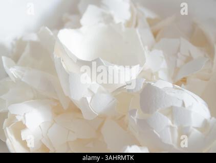 image of one Large eggshell piece on top of smaller broken pieces in side lighting Stock Photo