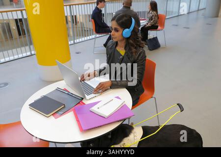 Student with guide dog at university Stock Photo