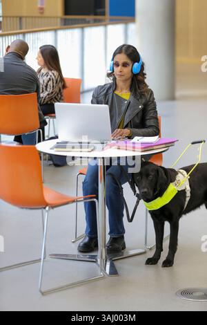 Student with guide dog at university Stock Photo