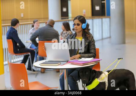 Student with guide dog at university Stock Photo