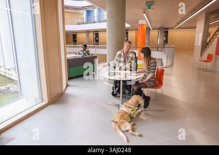 Disabled coworkers in office Stock Photo