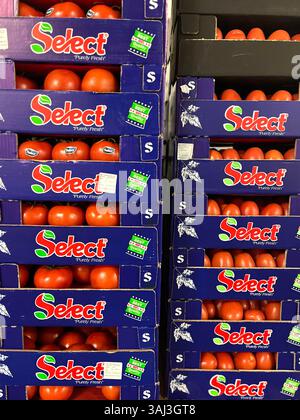 tomatoes, Select, crates of tomatoes, tomato crates, vegetables, storage, cardboard crates, logistics, vegetable storage, distribution, supply chain Stock Photo
