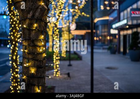 Viltrox AF 27mm f1.7 Lens Sample Image / Fairy lights wrap around tree trunks lining an urban sidewalk at dusk. The decorative string lights create a warm, ambient glow against the darkening sky. Pedestrians can enjoy the illuminated pathway as day transitions to night. The wrapped trees transform an ordinary street into a more inviting public space. Stock Photo