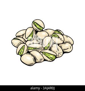 Pistachio nut hand drawn colored illustration on white background Stock Vector