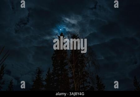 The moon partly hidden by clouds above a forest near Yellowknife in Canada Stock Photo
