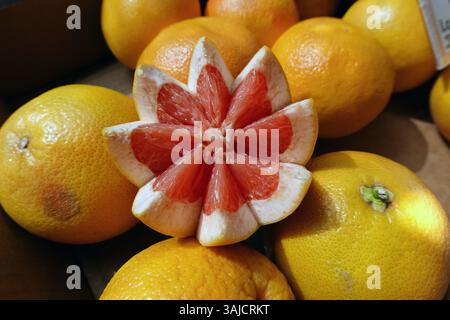 A grapefruit cut in half and into an artistic design resembling a flower. Stock Photo