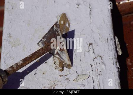 Remove chipped white paint from a plank on the tiles of the roof edge (Dutch: Waterbord) with a rusty triangular paint scraper. Netherlands. April. Stock Photo