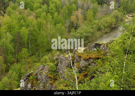 View from the top of a rocky massif overgrown with young birches and a winding river flowing below, crossing a dense coniferous forest on a cloudy sum Stock Photo