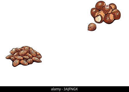 Set of colorful nut illustrations with elegant calligraphy names. Includes almond, peanut, walnut, hazelnut, pistachio, macadamia. Stock Vector