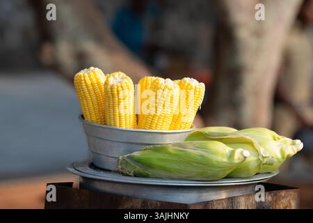 Fresh ripe corn cobs in a bowl, street food in India, market stall, healthy eating, steamed and grilled vegetable for sale Stock Photo