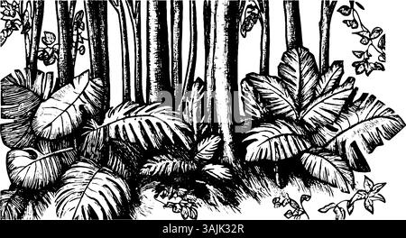 Forest Outline Dense Trees Nature illustration Stock Vector Image & Art ...