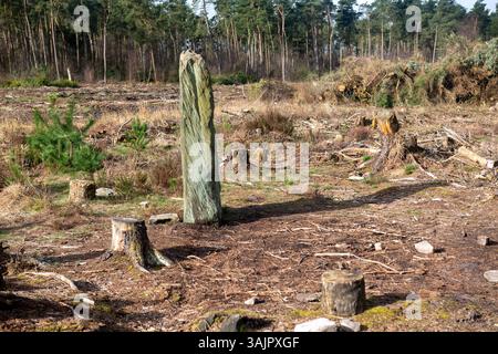 A large stone is sitting in a field of dead grass. The stone is surrounded by several fallen trees and logs. The scene is desolate and quiet, with no Stock Photo