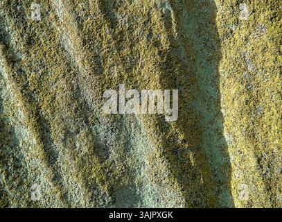 A rock with green moss growing on it. The moss is covering the rock in a way that it looks like a piece of art Stock Photo